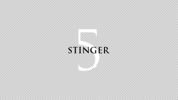 stinger5-custom-eyecatch